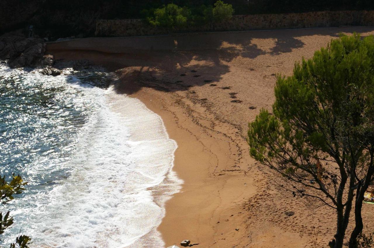 Apartamento Carabelasiente La Brisa Del Mar Tossa de Mar Eksteriør billede