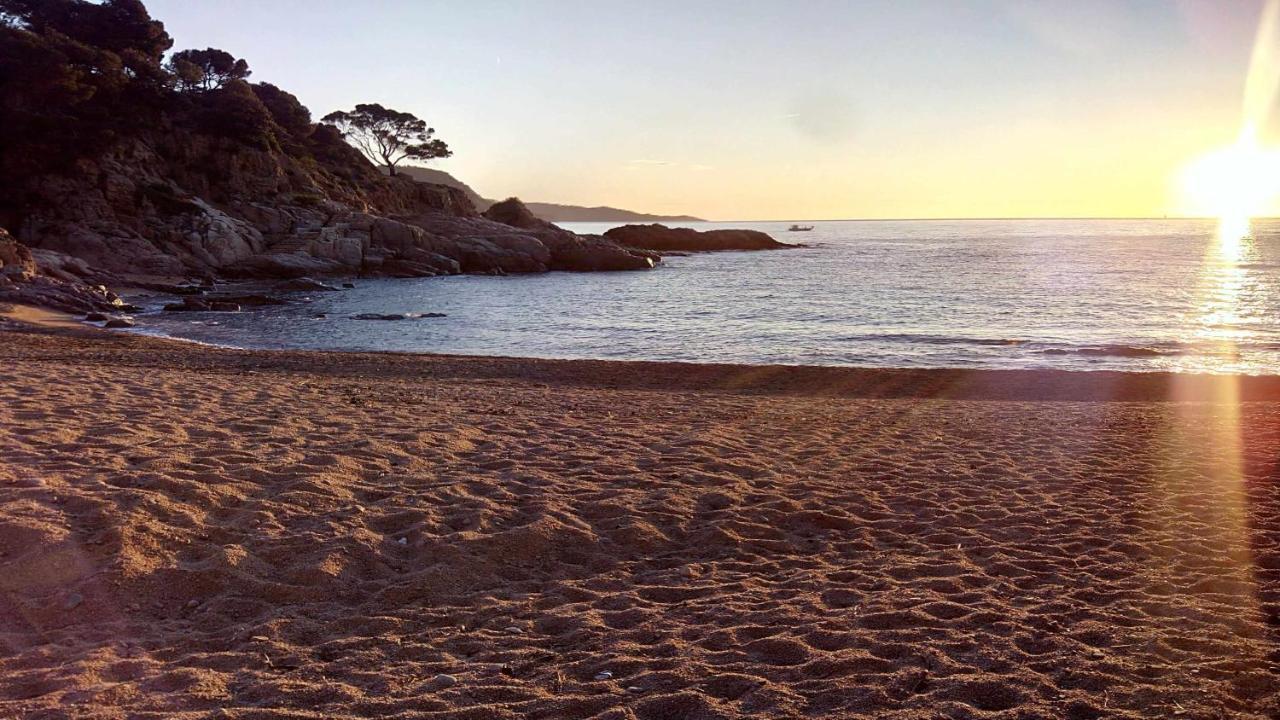 Apartamento Carabelasiente La Brisa Del Mar Tossa de Mar Eksteriør billede